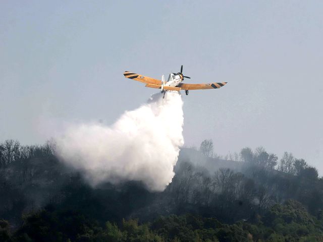 Σε ύφεση η πυρκαγιά στην αρχαία Μεσσήνη