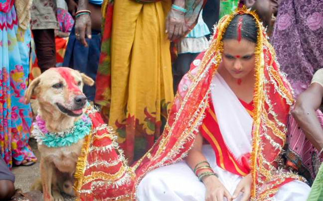 Μια 18χρονη Ινδή παντρεύτηκε σκύλο!