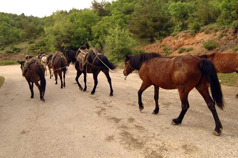 Η άχρηστη πληροφορία της ημέρας