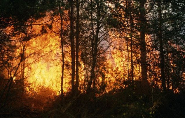 Συνελήφθη 49χρόνος ως υπαίτιος της πυρκαγιάς στην Ιεράπετρα