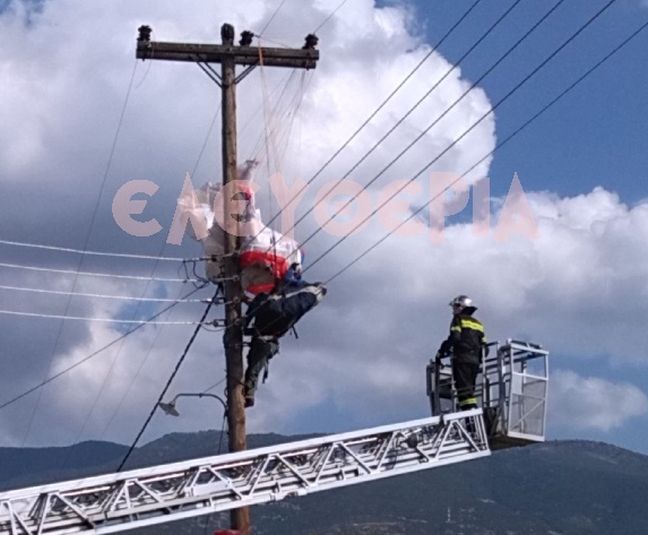 «Προσγειώθηκε» με αλεξίπτωτο σε κολώνα της ΔΕΗ