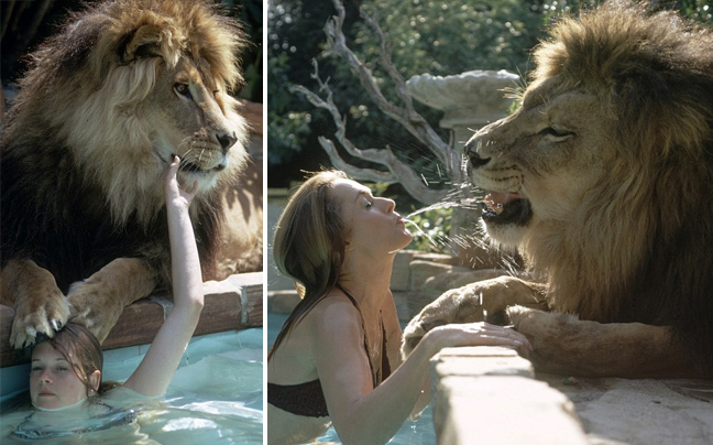 Η Μέλανι και το λιοντάρι