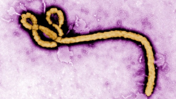 Πωλείται το ebola.com