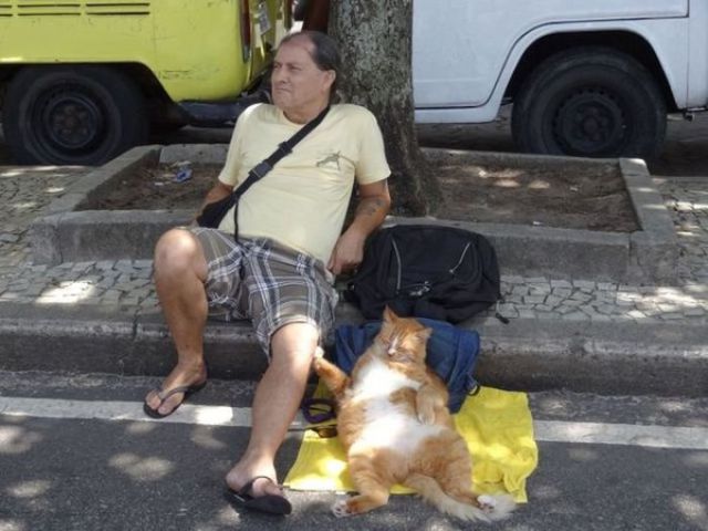 Στους δρόμους μπορεί κανείς να τα δει όλα
