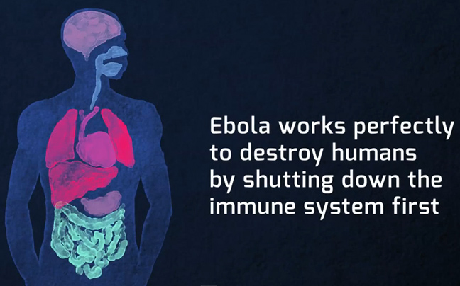 Όλα όσα πρέπει να ξέρετε για τον Έμπολα σε 94 δευτερόλεπτα
