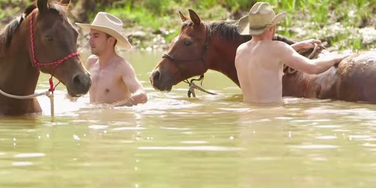 Η ιστορία δυο γκέι cowboys