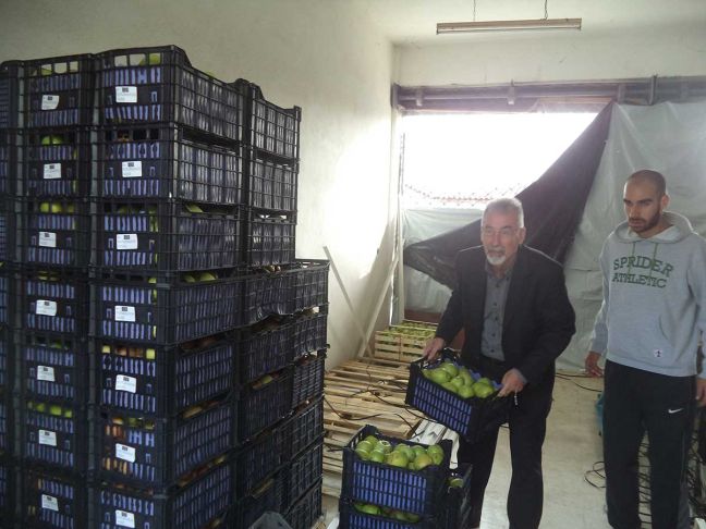 Δωρεάν φρούτα σε οικογένειες πολυτέκνων στα Τρίκαλα