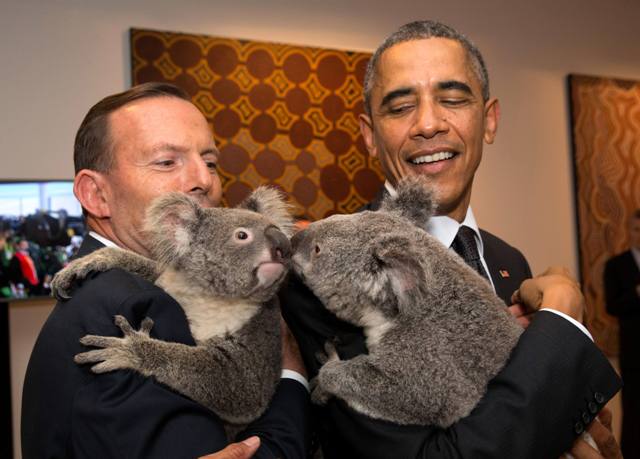 Αγκαλιές με κοάλα στη σύνοδο των G20