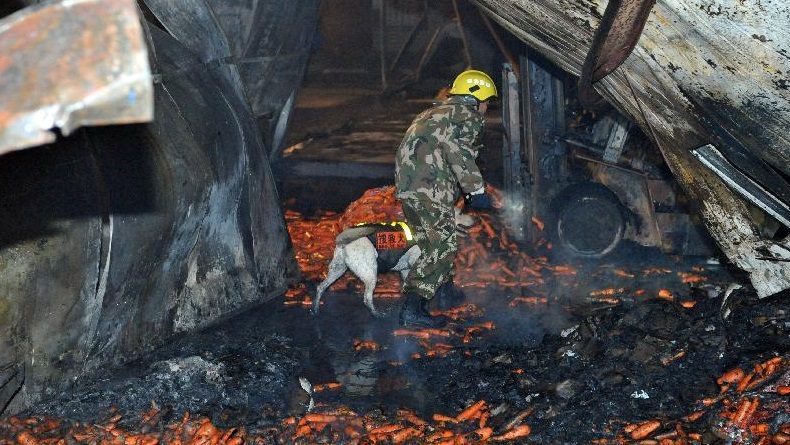 Πάνω από 18 νεκροί από πυρκαγιά σε κινεζικό εργοστάσιο τροφίμων