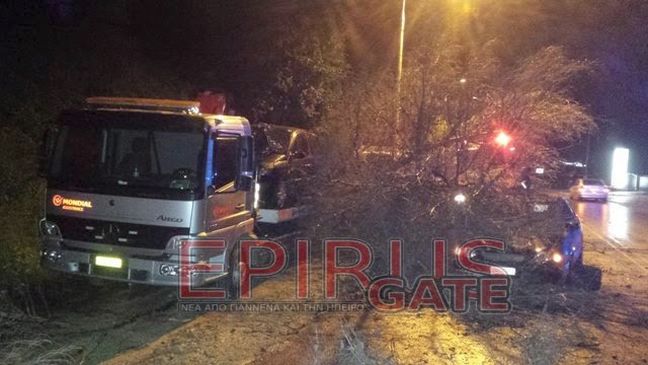 Δέντρο καταπλάκωσε αυτοκίνητο στην Ηγουμενίτσα