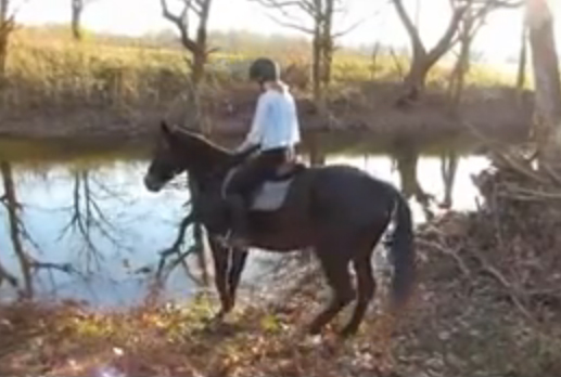 Όταν το άλογο διστάζει στο νερό&#8230;