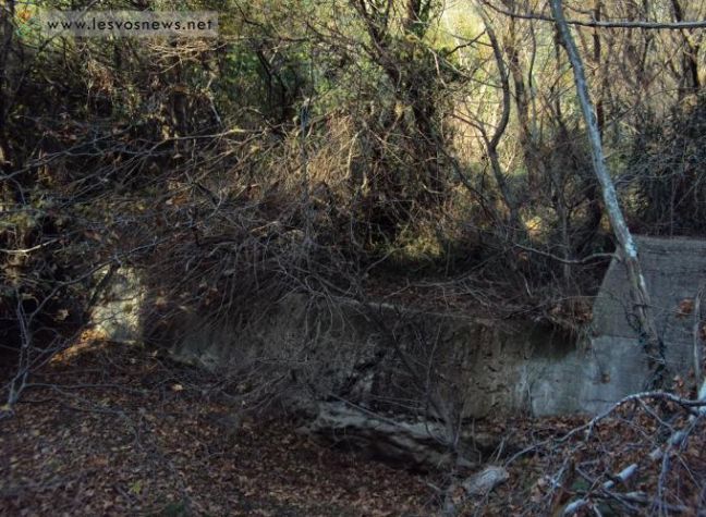 Καθάρισαν τον ποταμό Σεδούντα στο πλαίσιο της παγκόσμιας Ημέρας Εθελοντισμού