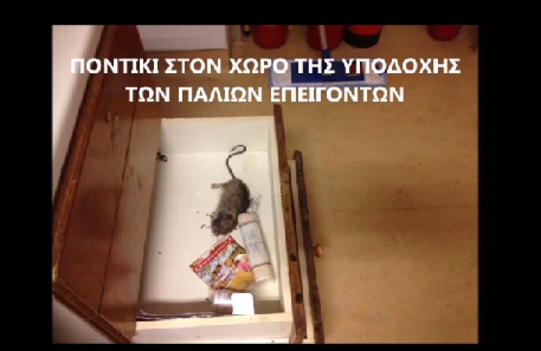 Ποντίκια στο νοσοκομείο της Νάξου