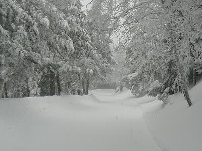 Σφοδρή χιονόπτωση στην ορεινή βόρεια και κεντρική Πελοπόννησο