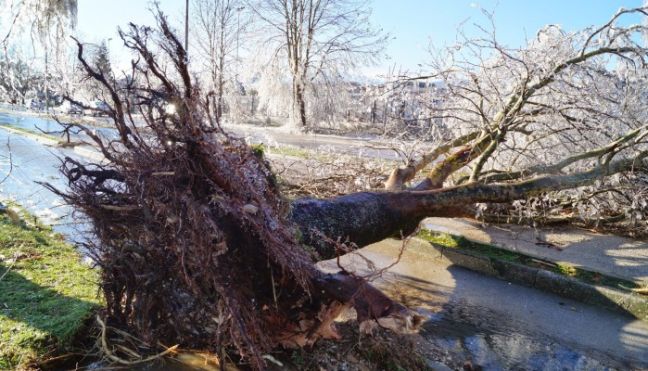 Παράταση της κατάστασης έκτακτης ανάγκης στο δήμο Βιάννου