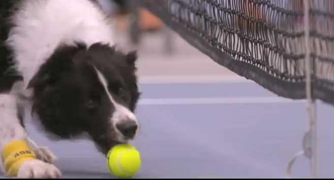 Τα καλύτερα ball boys στον κόσμο