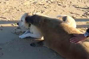 untitled 1 20.thumbnail