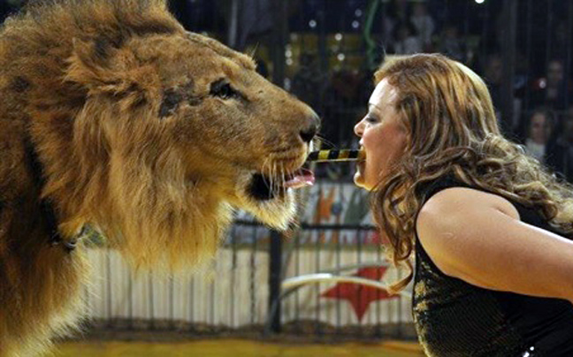 Λιοντάρι επιτέθηκε σε θηριοδαμάστρια