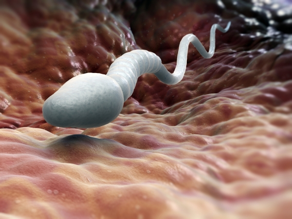 Δέκα πράγματα που σκοτώνουν το σπέρμα