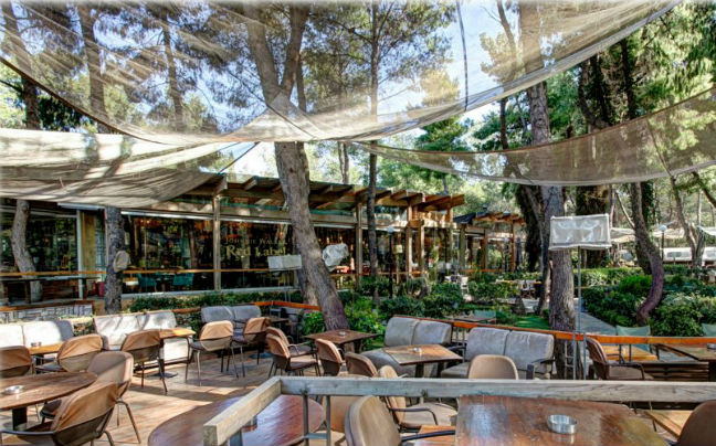 PiuVerde, μια διαχρονική… πράσινη all day επιλογή