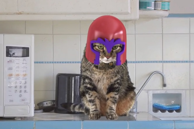 Η γάτα του Magneto