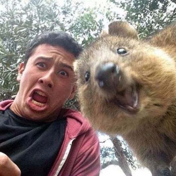Η νέα μανία στις αυστραλέζικες selfies
