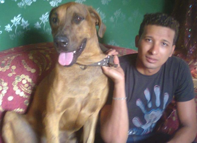 Τρία χρόνια φυλάκιση επειδή μαχαίρωσαν σκύλο