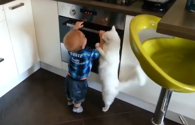 Γάτα προστατεύει μωρό από το φούρνο