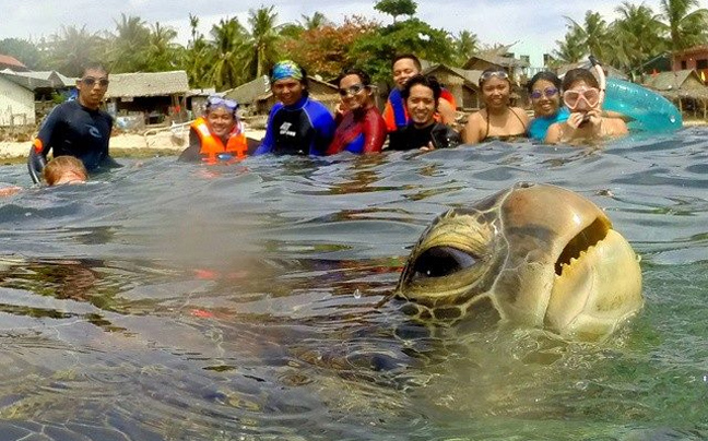 Το… photobomb της θαλάσσιας χελώνας