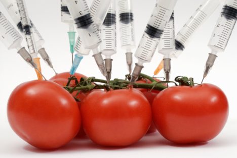 Πράσινο φως της Ε.Ε. για την κυκλοφορία γενετικά τροποποιημένων τροφών