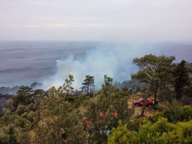 Κάηκαν 2.000 στρέμματα στη Σάμο