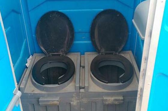 Μυαλό κουκούτσι