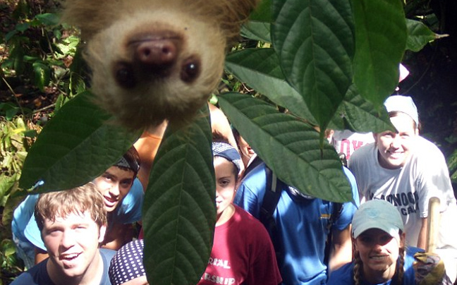 Η απόλυτη συλλογή photobombing ζώων!