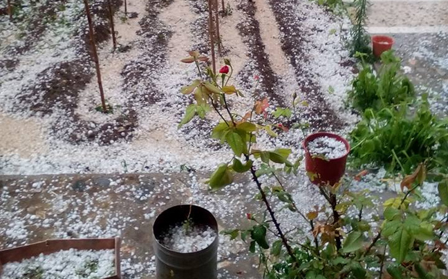 Έπεσε χαλάζι σαν φουντούκι στην Κοζάνη