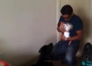 Η πρώτη γνωριμία σκύλου με νεογέννητο