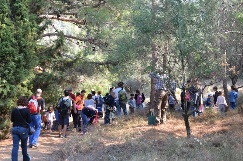 Γνωρίστε το Αισθητικό Δάσος Υμηττού