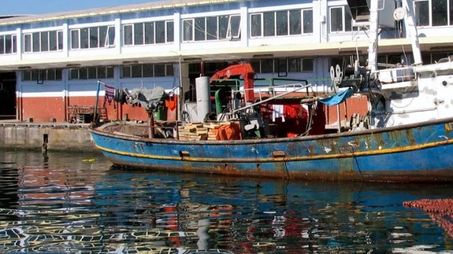 Κυριακάτικες εκδηλώσεις στην Ιχθυόσκαλα Κερατσινίου