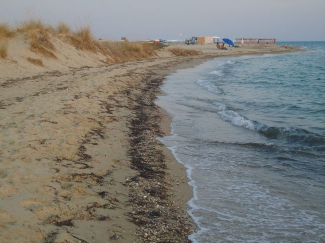 Αγώνας «για να σωθεί η παραλία Σαχάρα» στη Χαλκιδική