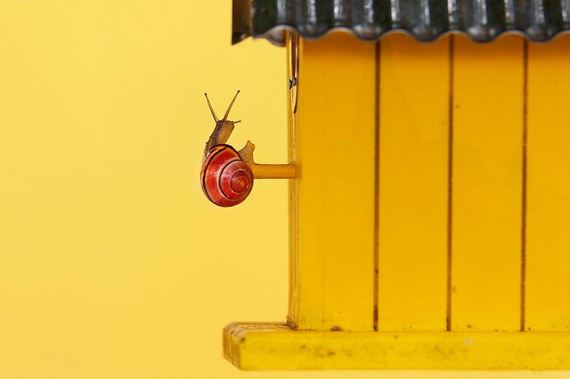 01-photography-snail