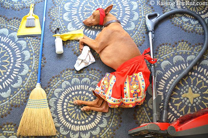 1002529_857446161017801_9222222940574931871_n