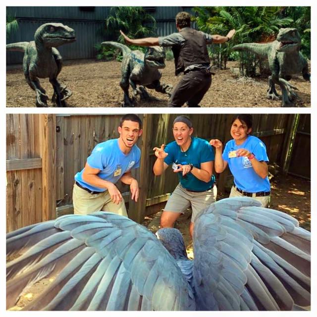 10349951_733740943419935_5555762148750046000_n