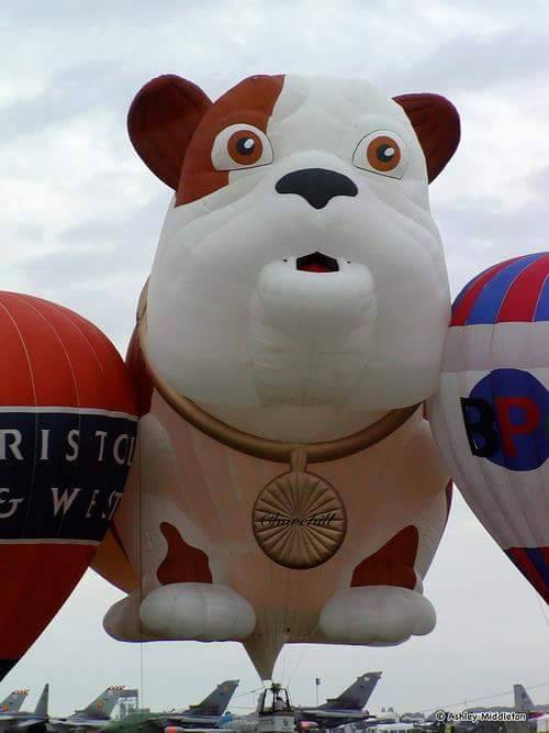 11350430_858893607539723_7605505971745506702_n