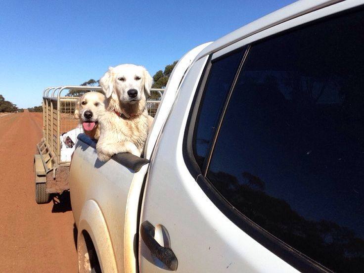 11390408_854213121341105_6556926503218918368_n