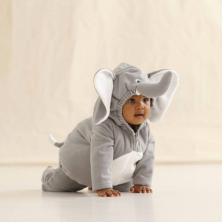 11400999_851619891600428_4594909391856654737_n