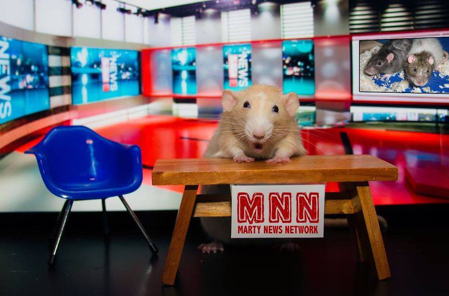 11401496_853050178124066_7682940295938520535_n