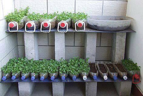 11536112_859329657496118_6397624443125682217_n