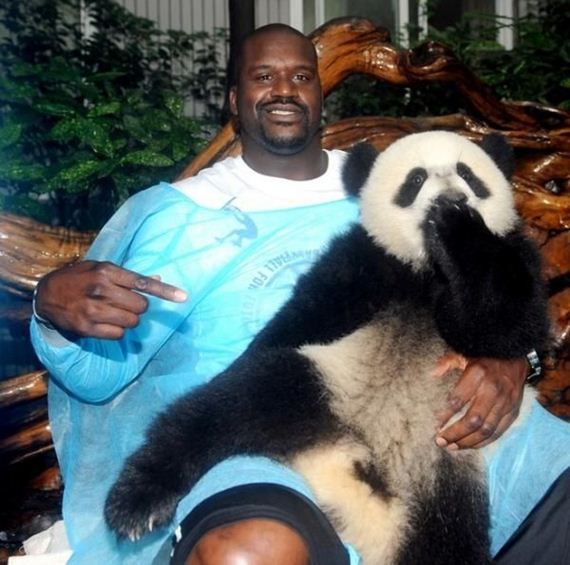 16-Shaq-Holding-Things 16-Shaq-Holding-Things