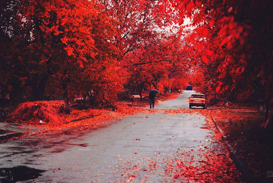 20312_862064390555978_4329576853140186375_n