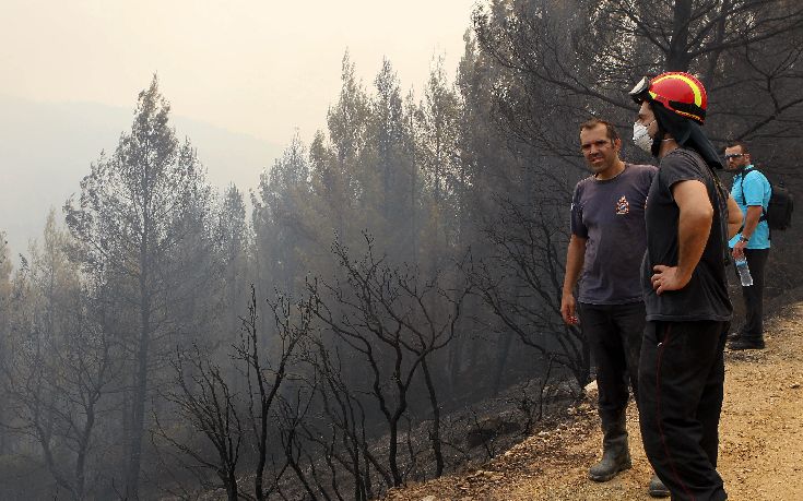 Σε ύφεση η μεγάλη πυρκαγιά στη Χαλκιδική