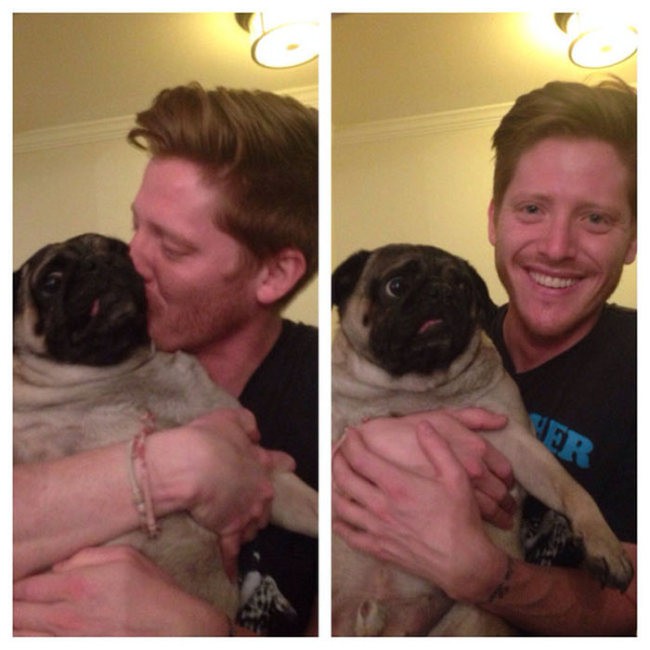 animals_hate_selfies_06